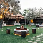 Acc Olives Luxury Boutique